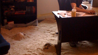 Like Sands Through The Warhammer Online Office